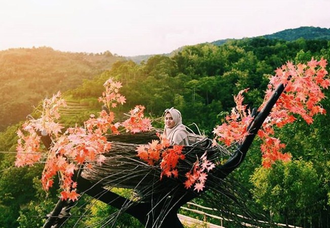 Foto di Sangkar Burung Bukit Mojo Bantul, Lokasi Bukit Mojo Gumelem, Rute Menuju Lokasi Bukit Mojo Gumelem, Harga Tiket Masuk Bukit Mojo Gumelem, Jam Operasional Mojo Gumelem Hill, Waktu Berkunjung Terbaik ke Mojo Gumelem Hill, Fasilitas di Mojo Gumelem Hill, Keindahan Bukit Mojo Gumelem yang Instagramable, Wisata Kuliner, Tips dan saran, Wisata di Sekitar Bukit Mojo Gumelem
