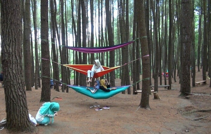 Hammock Tower via Metrotvnews.com, Mengintip Lokasi Hutan Pinus Pengger yang Stategis, Harga Tiket Masuk Hutan Pinus Pengger Jogja, Tarif Kegiatan Tambahan di Hutan Pinus Pengger, Fasilitas di Lokasi Wisata Alam Hutan Pinus, Berbagai Spot Foto Instagramable, Aktivitas Seru, Hutan Pinus Pengger di Malam Hari, Tips Liburan
