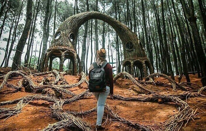 Menjelajah Hutan via Kemerahanid, Mengintip Lokasi Hutan Pinus Pengger yang Stategis, Harga Tiket Masuk Hutan Pinus Pengger Jogja, Tarif Kegiatan Tambahan di Hutan Pinus Pengger, Fasilitas di Lokasi Wisata Alam Hutan Pinus, Berbagai Spot Foto Instagramable, Aktivitas Seru, Hutan Pinus Pengger di Malam Hari, Tips Liburan