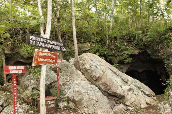Mulut Goa, Letak dan Rute Menuju Goa Gajah, Harga Tiket Masuk dan Tarif Parkir, Waktu yang Tepat Berkunjung ke Goa Gajah, Daya Tarik Goa Gajah, Wisata Kuliner di Sekitar Lokasi Goa Gajah, Goa Kecil di Sekitar Goa Gajah, Kerajinan Tangan dan Kesenian, Catatan Ketika Berkunjung ke Goa Gajah, Galeri Foto