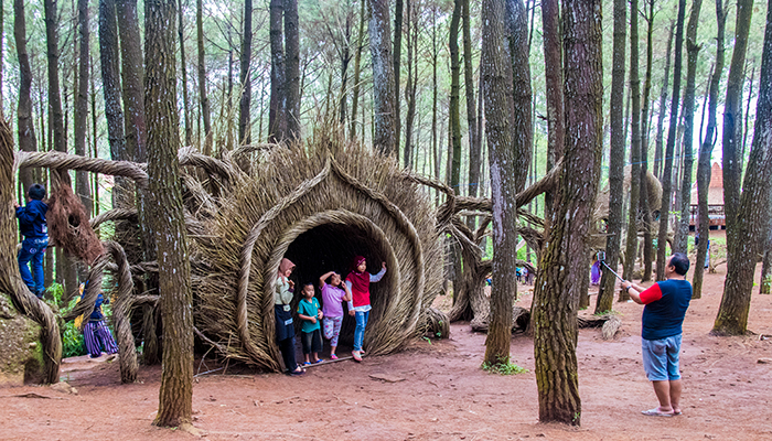 Spot Foto Kece di Pinus Pengger, Mengintip Lokasi Hutan Pinus Pengger yang Stategis, Harga Tiket Masuk Hutan Pinus Pengger Jogja, Tarif Kegiatan Tambahan di Hutan Pinus Pengger, Fasilitas di Lokasi Wisata Alam Hutan Pinus, Berbagai Spot Foto Instagramable, Aktivitas Seru, Hutan Pinus Pengger di Malam Hari, Tips Liburan