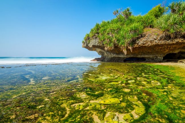 Keindahan Pantai Krakal via Shutterstock, 1. Pantai Pok Tunggal, 2. Pantai Siung, 3. Pantai Indrayanti (Pantai Pulang Sawal), 4. Pantai Baron, 5. Pantai Jogan, 6. Pantai Sundak, 7. Pantai Krakal, 8. Goa Gelatik, 9. Air Terjun Sri Gethuk, 10. Gua Seropan, 11. Gua Jomblang, 12. Cave Tubing Kalisuci, 13. Gunung Nglanggeran, 14. Pantai Sadranan, 15. Bukit Bintang, 16. Pantai Ngobaran, 17. Pantai Gesing, 18. Bukit Kosakora, 19. Pantai Wedi Ombo, 20. Pantai Slili, 21. Pantai Timang, 22. Pantai Jungwok, 23. Rafting di Kali Oyo Gunungkidul, 24. Pantai Seruni, 25. Pantai Drini, 26. Pantai Sepanjang, 27. Goa Bribin, 28. Goa Kalisuci Gunung Kidul, 29. Alun-alun Wonosari (Alun-alun Pemda), 30. Pantai Kukup, Desa Kemadang, Kecamatan Tanjungsari, 31. Embung Batara Sriten, 32. Pantai Sadeng, 33. Goa Cokro, 34. Goa Lowo, 35. Pantai Ngrenehan, 36. Gua Maria Tritis, 37. Desa Wisata Jelok, 38. Desa Wisata Nglanggeran, 39. Goa Jomblang – Grubug, 40. Goa Paesan, 41. Gunung Patuk atau Bukit Hargodumilah, 42. Gunung Gambar, 43. Telaga Jonge, 44. Dam Beton Indah dan Bendungan Simo, 45. Rest Area Bunder, 46. Goa Cerme, 47. Goa Langse, 48. Pantai Ngandong, 49. Gunung Kendil, 50. Goa Cokakan, 51. Gunung Api Purba Nglanggeran, 52. Bengawan Solo Purba (Telaga Suling), 53. Desa Wisata Umbulrejo, 54. Kawasan Karst Pegunungan Sewu, 55. Telaga Kemuning, 56. Hutan Wanagama, 57. Situs Gambirowati atau Pesanggrahan Gambirowati, 58. Goa Jlamprong, Goa Gesing, Goa Sinden, 59. Desa Wisata Bejiharjo, 60. Desa Wisata Bleberan, 61. Desa Wisata Mojo, 62. Desa Wisata Bobung, 63. Desa Wisata Wonosadi, 64. Desa Wisata Garotan, 65. Lembah Karst Mulo, 66. Hutan Bunder, 67. Hutan Wonosadi, 68. Situs Megalitik Sokoliman, 69. Situs Gunungbang, 70. Pertapaan Kembang Lampir, 71. Pantai Nguyahan, 72. Goa Rancang Kencono