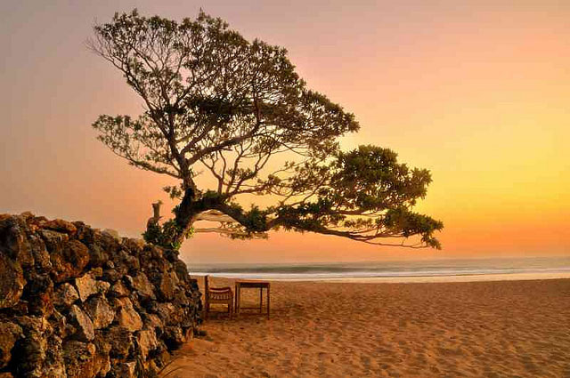 Menyaksikan Keindahan Sunset Pantai, Lokasi Wisata Pantai Pok Tunggal, Rute Menuju Lokasi Wisata Pantai Pok Tunggal, Harga Tiket Masuk Pantai Pok Tunggal, Fasilitas dan Akomodasi di Pantai Pok Tunggal, Objek Wisata di Pantai Pok Tunggal, Pesona Pantai Pok Tunggal, Wisata Kuliner di Pantai Pok Tunggal, Tips dan Saran