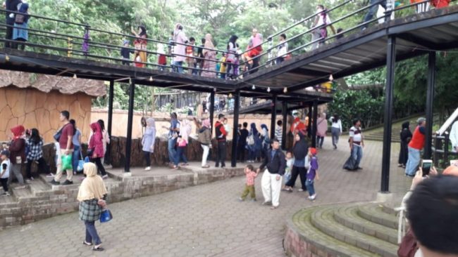 Wisatawan Padati Bandung Zoo via RRI, Kenali Sejarah Kebun Binatang Bandung, Aneka Koleksi Satwa Langka di Kebun Binatang Bandung, Harga Tiket Masuk Kebun Binatang Bandung, Jam Operasional Kebun Binatang Bandung, Aktivitas Seru di Kebun Binatang Bandung, Fasilitas Penunjang, Kulineran di Bandung Zoo