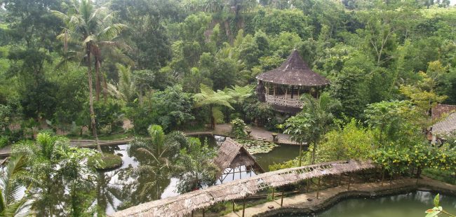 Desa Wisata Pentingsari via Visitingjogja, Lokasi Desa Wisata Kaliurang, Fasilitas yang Ada di Kawasan Desa Wisata Kaliurang, Harga Tiket Masuk Taman Wisata Kaliurang, Daya Tarik Desa Wisata Kaliurang, Kuliner Khas Kaliurang yang Wajib Dicoba, Tips dan Saran Berlibur