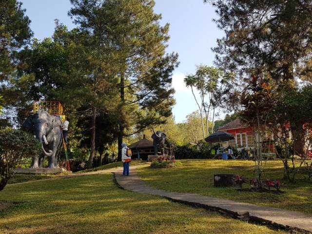 Pemandangan Hijau dan Asri di sekitar area taman Foto Gmap Hanung Adi Nugroho, Lokasi Desa Wisata Kaliurang, Fasilitas yang Ada di Kawasan Desa Wisata Kaliurang, Harga Tiket Masuk Taman Wisata Kaliurang, Daya Tarik Desa Wisata Kaliurang, Kuliner Khas Kaliurang yang Wajib Dicoba, Tips dan Saran Berlibur