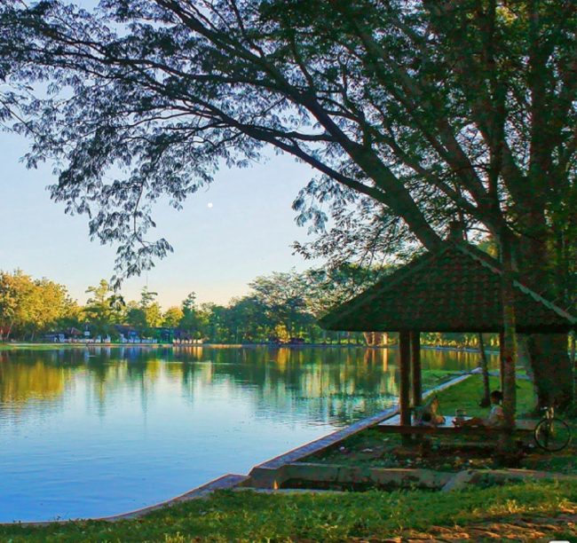 Saung untuk Bersantai di Pinggir Telaga, Sejarah Telaga Jonge, Lokasi Destinasi Wisata Telaga Jonge, Rute Menuju Lokasi Wisata Alam Telaga Jonge, Peta Lokasi Telaga Jonge, Fasilitas di Telaga Jonge, Jam Operasional , Harga Tiket Masuk Telaga Jonge, Aktivitas Seru di Telaga Jonge, Daya Tarik Telaga Jonge, Pasar Digital Telaga Jonge, Penginapan Terdekat Telaga, Tips dan saran