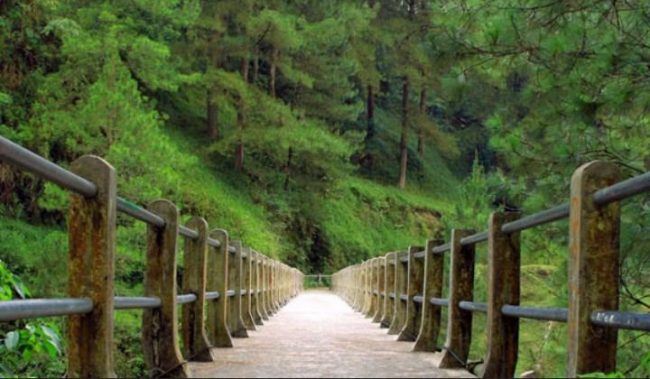 Bukit Kali Kuning, Lokasi Wisata Alam Kali Kuning, Rute Menuju Lokasi Wisata Alam kali kuning, Harga Tiket Masuk Wisata Alam Kali Kuning, Jam Buka Wawasan Wisata Alam Kali Kuning, Fasilitas Pendukung Wisata, Pesona Wisata Alam Kali Kuning, Tips Berlibur