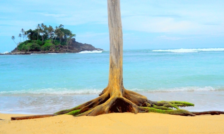 Pantai Kuala Geulumpang, 1. Pantai Pasir Putih Langsa, 2. Hutan Kota Langsa, 3. Pulau Teulaga Tujoh, 4. Taman Mangrove Langsa, 5. Gedung Balee Juang, 6. Pantai Buatan Kuala Langsa, 7. Vitra Tirta Raya Waterboom, 8. Taman Bambu Runcing, 9. Mutiara Waterpark, 10. Pantai Kuala Parek, 11. Langsa Town Square (Latos), 12. Kolam Renang Kemuning, 13. Pelabuhan Kuala Langsa, 14. Air Terjun Terujak, 15. Kawasan Toko Belakang, 16. Ujong Pusong, 17. Pantai Matang Ulim Idi Cut, 18. Pantai Kuala Geulumpang, 19. Lapangan Merdeka Langsa – Alun-alun Langsa, 20. Kebun Indah Villa, 21. Royal Waterboom Langsa