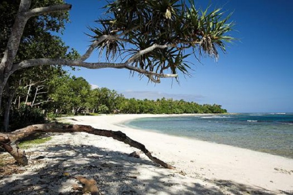 Pantai Kuala Parek via wisataindonesiaraya, 1. Pantai Pasir Putih Langsa, 2. Hutan Kota Langsa, 3. Pulau Teulaga Tujoh, 4. Taman Mangrove Langsa, 5. Gedung Balee Juang, 6. Pantai Buatan Kuala Langsa, 7. Vitra Tirta Raya Waterboom, 8. Taman Bambu Runcing, 9. Mutiara Waterpark, 10. Pantai Kuala Parek, 11. Langsa Town Square (Latos), 12. Kolam Renang Kemuning, 13. Pelabuhan Kuala Langsa, 14. Air Terjun Terujak, 15. Kawasan Toko Belakang, 16. Ujong Pusong, 17. Pantai Matang Ulim Idi Cut, 18. Pantai Kuala Geulumpang, 19. Lapangan Merdeka Langsa – Alun-alun Langsa, 20. Kebun Indah Villa, 21. Royal Waterboom Langsa