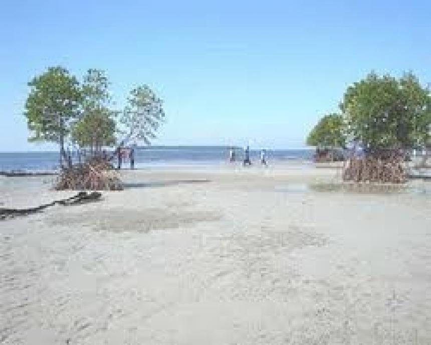 Pantai Matang Ulim Idi Cut, 1. Pantai Pasir Putih Langsa, 2. Hutan Kota Langsa, 3. Pulau Teulaga Tujoh, 4. Taman Mangrove Langsa, 5. Gedung Balee Juang, 6. Pantai Buatan Kuala Langsa, 7. Vitra Tirta Raya Waterboom, 8. Taman Bambu Runcing, 9. Mutiara Waterpark, 10. Pantai Kuala Parek, 11. Langsa Town Square (Latos), 12. Kolam Renang Kemuning, 13. Pelabuhan Kuala Langsa, 14. Air Terjun Terujak, 15. Kawasan Toko Belakang, 16. Ujong Pusong, 17. Pantai Matang Ulim Idi Cut, 18. Pantai Kuala Geulumpang, 19. Lapangan Merdeka Langsa – Alun-alun Langsa, 20. Kebun Indah Villa, 21. Royal Waterboom Langsa