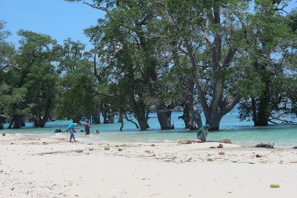 Pantai Pasir Putih Langsa via wisataindonesiaraya, 1. Pulau Teulaga Tujoh, 2. Pantai Kuala Geulumpang, 3. Pelabuhan Kuala Langsa, 4. Pantai Kuala Parek, 5. Pantai Ujong Pusong, 6. Pantai Matang Ulim Idi Cut, 7. Wisata Pantai Buatan Kuala Langsa, 8. Pantai Pasir Putih Langsa