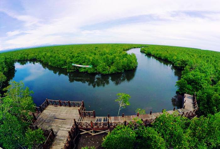 Taman Mangrove Langsa via IG @rulyadimunandar, 1. Pantai Pasir Putih Langsa, 2. Hutan Kota Langsa, 3. Pulau Teulaga Tujoh, 4. Taman Mangrove Langsa, 5. Gedung Balee Juang, 6. Pantai Buatan Kuala Langsa, 7. Vitra Tirta Raya Waterboom, 8. Taman Bambu Runcing, 9. Mutiara Waterpark, 10. Pantai Kuala Parek, 11. Langsa Town Square (Latos), 12. Kolam Renang Kemuning, 13. Pelabuhan Kuala Langsa, 14. Air Terjun Terujak, 15. Kawasan Toko Belakang, 16. Ujong Pusong, 17. Pantai Matang Ulim Idi Cut, 18. Pantai Kuala Geulumpang, 19. Lapangan Merdeka Langsa – Alun-alun Langsa, 20. Kebun Indah Villa, 21. Royal Waterboom Langsa