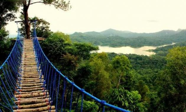Wahana Outbond via Njogja, Lokasi Wisata Alam Kalibiru, Rute Menuju Lokasi Wisata Alam Kalibiru, Harga Tiket Masuk Wisata Kalibiru, Penginapan Murah di Sekitar Lokasi WIsata, Fasilitas yang Tersedia di Kutan Kemasyarakatan Kalibiru, Spot Foto yang Instagramable, Pesona Alam  Kalibiru Kulonprogo, Objek Wisata di Sekitar Kalibiru, Tips Berlibur