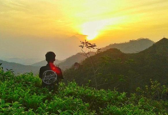 Menyaksikan Sunset, Info Umum Kebun Teh Nglinggo, Lokasi Destinasi Wisata Alam Kebun Teh Nglinggo Kulonprogo, Rute Menuju Lokasi, Harga Tiket Masuk Kebun Teh Nglinggo, Fasilitas yang Ada Di Sekitar Lokasi Kebun Teh Nglinggo, Pesona Kebun Teh Nglinggo, Tips Berlibur