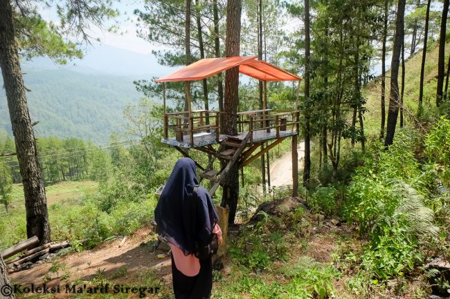 Rumah Pohon Genting Foto Oleh Maarif Siregar, 1. Pemandian Air Panas Putri Betung, 2. Genting, 3. Air Terjun Kolam Biru Rerebe, 4. Agusen, 5. Berawang Pungkih, 6. Air Terjun Tujuh Tingkat, 7. Ketambe, 8. Bukit Cinta, 9. Kedah, 10. Taman Nasional Gunung Leuser, 11. Blangtasik, 12. Wisata Kampung Inggris, 13. Tanjung Lipet, 14. Highland Gayo Lues, 15. Air Terjun Akang Siwah, 16. Festival Budaya Saman (FBS), 17. Uyem Beriring, 18. Bur Reko