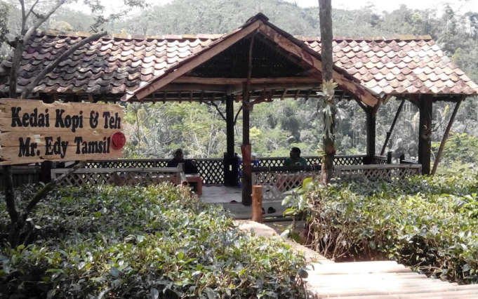 Santai Sambil Minum Teh Mr Edy Tamsil, Info Umum Kebun Teh Nglinggo, Lokasi Destinasi Wisata Alam Kebun Teh Nglinggo Kulonprogo, Rute Menuju Lokasi, Harga Tiket Masuk Kebun Teh Nglinggo, Fasilitas yang Ada Di Sekitar Lokasi Kebun Teh Nglinggo, Pesona Kebun Teh Nglinggo, Tips Berlibur