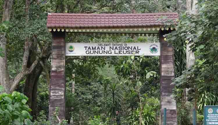 Taman Nasional Gunung Leuser, 1. Pemandian Air Panas Putri Betung, 2. Genting, 3. Air Terjun Kolam Biru Rerebe, 4. Agusen, 5. Berawang Pungkih, 6. Air Terjun Tujuh Tingkat, 7. Ketambe, 8. Bukit Cinta, 9. Kedah, 10. Taman Nasional Gunung Leuser, 11. Blangtasik, 12. Wisata Kampung Inggris, 13. Tanjung Lipet, 14. Highland Gayo Lues, 15. Air Terjun Akang Siwah, 16. Festival Budaya Saman (FBS), 17. Uyem Beriring, 18. Bur Reko