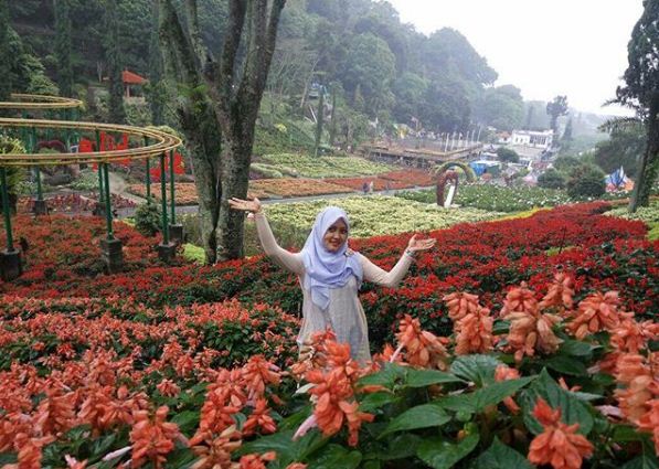 Taman Rekreasi Selecta Batu, 1. Gunung Bromo, 2. Pantai Pasir Putih, 3. Telaga Sarangan, 4. Ranu Kumbolo Gunung Semeru, 5. Pulau Sempu, 6. Pantai Plengkung, 7. Pantai Bandealit, 8. Pantai Sendang Biru, 9. Pulau Merah, 10. Pantai Balekambang, 11. Kawah Ijen Banyuwangi , 12. Jawa Timur Park (Jatim Park) 1, 13. House of Sampoerna, 14. Wisata Bahari Lamongan , 15. Pantai Papuma Jember, 16. Gunung Kelud Kediri, 17. Maharani Zoo & Goa, 18. Pemandian Air Panas Cangar Jawa Timur, 19. Arung Jeram Songa Probolinggo, 20. Air Terjun Madakaripura Probolinggo, 21. Air Terjun Coban Rondo, 22. Puncak B-29, 23. Simpang Lima Gumul – KEDIRI, 24. Gumul Paradise Island Kediri, 25. Taman Langit Gunung Banyak, 26. Jatim Park 2 Malang, 27. Taman Rekreasi Selecta, 28. Wisata Bukit Jaddhih, 29. Air Terjun Dlundung, 30. Predator Fun Park Batu, 31. Eco Green Park, 32. Taman Bungkul, 33. Pantai Batu Bengkung, 34. Air Terjun Putuk Truno, 35. The Grand Taman Safari Prigen Jawa Timur, 36. Pantai Kelapa Tuban, 37. Air Terjun Sedudo