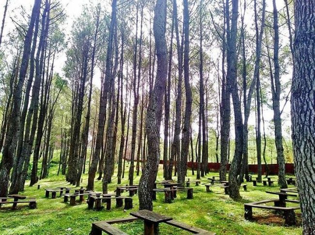 Uyem Beriring via IG @nurulbadriah, 1. Pemandian Air Panas Putri Betung, 2. Genting, 3. Air Terjun Kolam Biru Rerebe, 4. Agusen, 5. Berawang Pungkih, 6. Air Terjun Tujuh Tingkat, 7. Ketambe, 8. Bukit Cinta, 9. Kedah, 10. Taman Nasional Gunung Leuser, 11. Blangtasik, 12. Wisata Kampung Inggris, 13. Tanjung Lipet, 14. Highland Gayo Lues, 15. Air Terjun Akang Siwah, 16. Festival Budaya Saman (FBS), 17. Uyem Beriring, 18. Bur Reko
