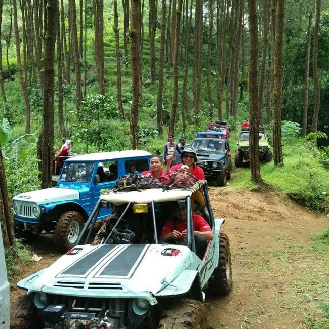 Wisata Offroad di Kebun Teh Samigaluh via javabalitranswisata, Info Umum Kebun Teh Nglinggo, Lokasi Destinasi Wisata Alam Kebun Teh Nglinggo Kulonprogo, Rute Menuju Lokasi, Harga Tiket Masuk Kebun Teh Nglinggo, Fasilitas yang Ada Di Sekitar Lokasi Kebun Teh Nglinggo, Pesona Kebun Teh Nglinggo, Tips Berlibur