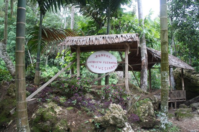 Arohen Pecantik Lawe Sikap, 1. Taman Nasional Gunung Leuser, 2. Gua Lawe Sikap , 3. Taman Nasional Hutan Ketambe , 4. Arung Jeram Sungai Alas , 5. Taman Wisata Lawe Gurah, 6. Masjid Agung At-Taqwa Kutacane, 7. Lapangan Ahmad Yani, 8. Bukit Cinta Kutacane , 9. Air Terjun Lawe Dua , 10. Jambur Mamang , 12. Air Terjun Ketambe , 13. Benteng Kuta Reh , 14. Pantai Goyang, 15. Pantai Timur , 16. Lawe Sikap, 17. Pemandian Air Panas Lawe Ger-Ger, 18. Air Terjun Bakbahu , 19. Waterpark di Kutacane, 20. Situs Rumah Adat, 21. Kuliner Suku Alas dan Kutacane