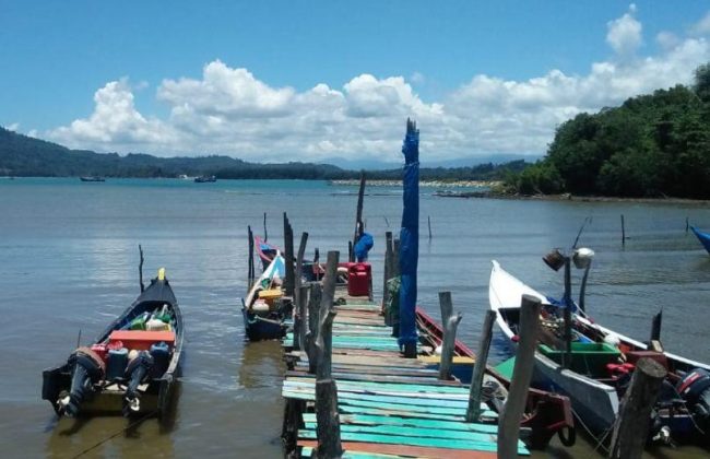 Desa Batee Tutong, 1. Pantai Kuala Merisi, 2. Pantai Pasie Saka, 3. Pantai Kuala Dhoi, 4. Pulau Reusam, 5. Pulau Tsunami, 6. Teluk Rigaih, 7. Arung Jeram Sungai Teunom, 8. Memandangi Lumba-Lumba di Puncak Lageun, 9. Puncak Gunung Geurutee, 10. Pulau Sungai Keluang, 11. Desa Batee Tutong, 12. Danau Laut Nie Pineung Suasa, 13. Lhok Gelumpang, 14. Kampung Mata Biru Lamno, 15. Nisan Meurehom Daya, 16. Air Terjun Ceuraceu Embon, 17. Conservatin Respon Unit (CRU), 18. Pantai Ujong Gla, 19. Taman Bunga Aceh Jaya, 20. Pulau Keuh Patek, 21. Pantai Lhok Geulumpang, 22. Konservasi Penyu Aron Meubanja, 23. Wisata Air Sarah Dewi, 24. Pantai Nisero, 25. Air Terjun Alue Itam, 26. Danau Laot Bhe, 27. Ceuraceu Alue Teungoh, 28. Pantai Ujong Pusong