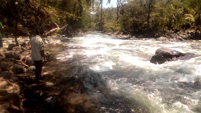 Jambur Mamang via Youtube, 1. Taman Nasional Gunung Leuser, 2. Gua Lawe Sikap , 3. Taman Nasional Hutan Ketambe , 4. Arung Jeram Sungai Alas , 5. Taman Wisata Lawe Gurah, 6. Masjid Agung At-Taqwa Kutacane, 7. Lapangan Ahmad Yani, 8. Bukit Cinta Kutacane , 9. Air Terjun Lawe Dua , 10. Jambur Mamang , 12. Air Terjun Ketambe , 13. Benteng Kuta Reh , 14. Pantai Goyang, 15. Pantai Timur , 16. Lawe Sikap, 17. Pemandian Air Panas Lawe Ger-Ger, 18. Air Terjun Bakbahu , 19. Waterpark di Kutacane, 20. Situs Rumah Adat, 21. Kuliner Suku Alas dan Kutacane