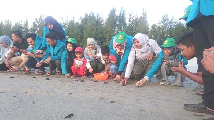 Konservasi Penyu Aron Meubanja, 1. Pantai Kuala Merisi, 2. Pantai Pasie Saka, 3. Pantai Kuala Dhoi, 4. Pulau Reusam, 5. Pulau Tsunami, 6. Teluk Rigaih, 7. Arung Jeram Sungai Teunom, 8. Memandangi Lumba-Lumba di Puncak Lageun, 9. Puncak Gunung Geurutee, 10. Pulau Sungai Keluang, 11. Desa Batee Tutong, 12. Danau Laut Nie Pineung Suasa, 13. Lhok Gelumpang, 14. Kampung Mata Biru Lamno, 15. Nisan Meurehom Daya, 16. Air Terjun Ceuraceu Embon, 17. Conservatin Respon Unit (CRU), 18. Pantai Ujong Gla, 19. Taman Bunga Aceh Jaya, 20. Pulau Keuh Patek, 21. Pantai Lhok Geulumpang, 22. Konservasi Penyu Aron Meubanja, 23. Wisata Air Sarah Dewi, 24. Pantai Nisero, 25. Air Terjun Alue Itam, 26. Danau Laot Bhe, 27. Ceuraceu Alue Teungoh, 28. Pantai Ujong Pusong