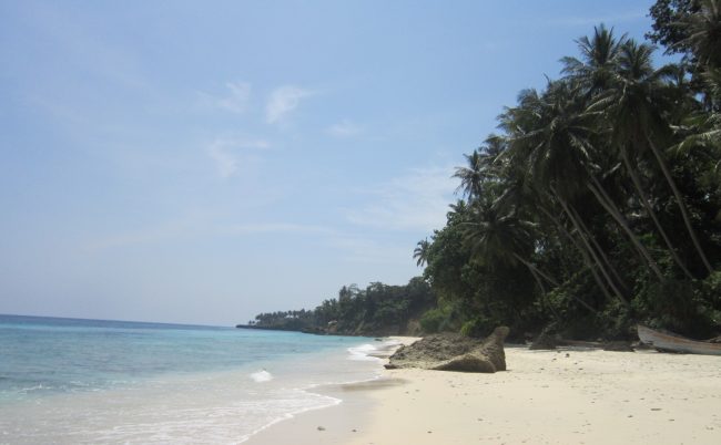 Pantai Keutapang Mameh, 1. Air Terjun Weh Hilang, 2. Pantai Kuala Beukah, 3. Pantai Kuala Parek, 4. Pantai Idi Cut, 5. Pantai Ketapang Mameh, 6. Situs Kerajaan Peureulak, 7. Pantai Pusong Kuala Idi, 8. Air Terjun Paya Bili, 9. Pantai Wisata Kuala Peudawa, 10. Pantai Kuala Simpang Ulim, 11. Pantai Kuala Geulumpang, 12. Pantai Alur Dua Muka, 13. Taman Bambu Runcing, 14. Hutan Mangrove, 15. Mutiara Waterpark, 16. Hutan Lindung, 17. Gedung Balee Juang, 18. Kolam Renang Tirta Virta Raya
