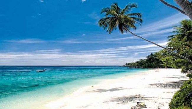 Pantai Kuala Dhoi, 1. Pantai Kuala Merisi, 2. Pantai Pasie Saka, 3. Pantai Kuala Dhoi, 4. Pulau Reusam, 5. Pulau Tsunami, 6. Teluk Rigaih, 7. Arung Jeram Sungai Teunom, 8. Memandangi Lumba-Lumba di Puncak Lageun, 9. Puncak Gunung Geurutee, 10. Pulau Sungai Keluang, 11. Desa Batee Tutong, 12. Danau Laut Nie Pineung Suasa, 13. Lhok Gelumpang, 14. Kampung Mata Biru Lamno, 15. Nisan Meurehom Daya, 16. Air Terjun Ceuraceu Embon, 17. Conservatin Respon Unit (CRU), 18. Pantai Ujong Gla, 19. Taman Bunga Aceh Jaya, 20. Pulau Keuh Patek, 21. Pantai Lhok Geulumpang, 22. Konservasi Penyu Aron Meubanja, 23. Wisata Air Sarah Dewi, 24. Pantai Nisero, 25. Air Terjun Alue Itam, 26. Danau Laot Bhe, 27. Ceuraceu Alue Teungoh, 28. Pantai Ujong Pusong