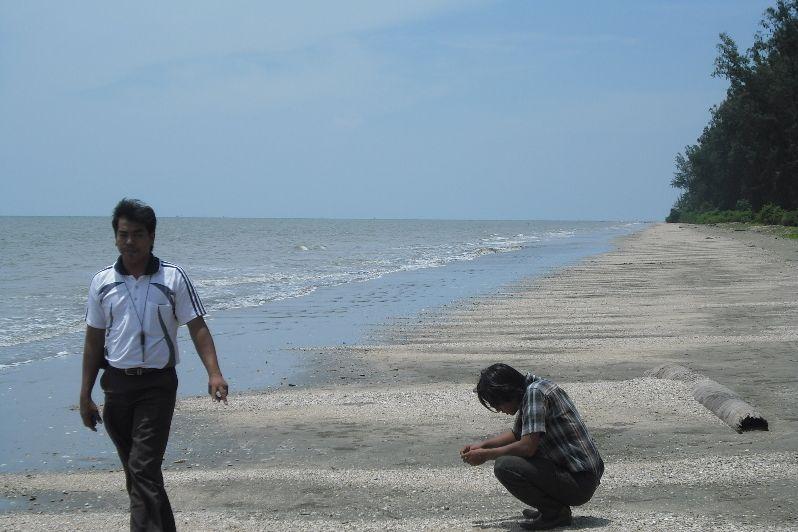 Pantai Idi Cut, 1. Air Terjun Weh Hilang, 2. Pantai Kuala Beukah, 3. Pantai Kuala Parek, 4. Pantai Idi Cut, 5. Pantai Ketapang Mameh, 6. Situs Kerajaan Peureulak, 7. Pantai Pusong Kuala Idi, 8. Air Terjun Paya Bili, 9. Pantai Wisata Kuala Peudawa, 10. Pantai Kuala Simpang Ulim, 11. Pantai Kuala Geulumpang, 12. Pantai Alur Dua Muka, 13. Taman Bambu Runcing, 14. Hutan Mangrove, 15. Mutiara Waterpark, 16. Hutan Lindung, 17. Gedung Balee Juang, 18. Kolam Renang Tirta Virta Raya