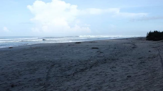 Pantai Nisero via saidmuniruddin, 1. Pantai Kuala Merisi, 2. Pantai Pasie Saka, 3. Pantai Kuala Dhoi, 4. Pulau Reusam, 5. Pulau Tsunami, 6. Teluk Rigaih, 7. Arung Jeram Sungai Teunom, 8. Memandangi Lumba-Lumba di Puncak Lageun, 9. Puncak Gunung Geurutee, 10. Pulau Sungai Keluang, 11. Desa Batee Tutong, 12. Danau Laut Nie Pineung Suasa, 13. Lhok Gelumpang, 14. Kampung Mata Biru Lamno, 15. Nisan Meurehom Daya, 16. Air Terjun Ceuraceu Embon, 17. Conservatin Respon Unit (CRU), 18. Pantai Ujong Gla, 19. Taman Bunga Aceh Jaya, 20. Pulau Keuh Patek, 21. Pantai Lhok Geulumpang, 22. Konservasi Penyu Aron Meubanja, 23. Wisata Air Sarah Dewi, 24. Pantai Nisero, 25. Air Terjun Alue Itam, 26. Danau Laot Bhe, 27. Ceuraceu Alue Teungoh, 28. Pantai Ujong Pusong