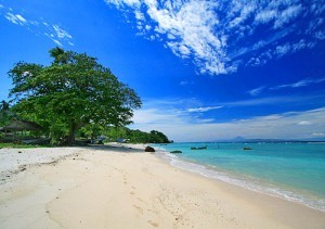 Pantai Pusong Kuala Idi, 1. Air Terjun Weh Hilang, 2. Pantai Kuala Beukah, 3. Pantai Kuala Parek, 4. Pantai Idi Cut, 5. Pantai Ketapang Mameh, 6. Situs Kerajaan Peureulak, 7. Pantai Pusong Kuala Idi, 8. Air Terjun Paya Bili, 9. Pantai Wisata Kuala Peudawa, 10. Pantai Kuala Simpang Ulim, 11. Pantai Kuala Geulumpang, 12. Pantai Alur Dua Muka, 13. Taman Bambu Runcing, 14. Hutan Mangrove, 15. Mutiara Waterpark, 16. Hutan Lindung, 17. Gedung Balee Juang, 18. Kolam Renang Tirta Virta Raya