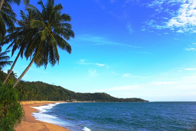 Pantai Ujung Manggeng, 1. Pantai Ujong Kareung, 2. Pantai Lhok Bubon, 3. Pantai Batee Puteh , 4. Pantai Suak Ribee, 5. Pantai Lanaga, 6. Masjid Agung Meulaboh , 7. Pantai Pusong Sangkalan, 8. Genang Gedong , 9. Pantai Lhok Geudong , 10. Pantai Ujong Karang , 11. Pantai Kasih, 12. Pantai Batu Putih, 13. Pantai Ujung Batee, 14. Krueng Tutut, 15. Pantai Blang Ulam, 16. Pantai Cemara Indah , 17. Makam Pahlawan Nasional Teuku Umar, 18. Pantai Jilbab, 19. Pantai Lhok Ketapang, 20. Taman Laut Ujung Manggeng, 21. Pantai Ujung Manggeng , 22. Pemandian Krueng Baru , 23. Pemandian Putroe Ijoe, 24. Gua Seumancang Kuta Tinggi, 25. Pulau Gosong, 26. Krueng Babahrot, 27. Pucok Krung Ale, 28. Pantai Ujung Serangga, 29. Tugu Kupiah Teuku Umar, 30. Air Terjun Gampong Pungkie, 31. Danau Geunang Geudong, 32. Taman Hijriah, 33. Pantai Suak Timah, 34. Wisata Waterboom Mini, 35. Lebok Pineu