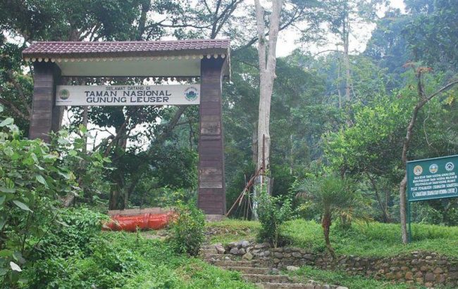 Taman Nasional Gunung Leuser, 1. Taman Nasional Gunung Leuser, 2. Gua Lawe Sikap , 3. Taman Nasional Hutan Ketambe , 4. Arung Jeram Sungai Alas , 5. Taman Wisata Lawe Gurah, 6. Masjid Agung At-Taqwa Kutacane, 7. Lapangan Ahmad Yani, 8. Bukit Cinta Kutacane , 9. Air Terjun Lawe Dua , 10. Jambur Mamang , 12. Air Terjun Ketambe , 13. Benteng Kuta Reh , 14. Pantai Goyang, 15. Pantai Timur , 16. Lawe Sikap, 17. Pemandian Air Panas Lawe Ger-Ger, 18. Air Terjun Bakbahu , 19. Waterpark di Kutacane, 20. Situs Rumah Adat, 21. Kuliner Suku Alas dan Kutacane