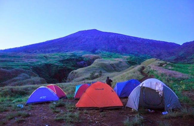 Taman Wisata Lawe Gurah, 1. Taman Nasional Gunung Leuser, 2. Gua Lawe Sikap , 3. Taman Nasional Hutan Ketambe , 4. Arung Jeram Sungai Alas , 5. Taman Wisata Lawe Gurah, 6. Masjid Agung At-Taqwa Kutacane, 7. Lapangan Ahmad Yani, 8. Bukit Cinta Kutacane , 9. Air Terjun Lawe Dua , 10. Jambur Mamang , 12. Air Terjun Ketambe , 13. Benteng Kuta Reh , 14. Pantai Goyang, 15. Pantai Timur , 16. Lawe Sikap, 17. Pemandian Air Panas Lawe Ger-Ger, 18. Air Terjun Bakbahu , 19. Waterpark di Kutacane, 20. Situs Rumah Adat, 21. Kuliner Suku Alas dan Kutacane
