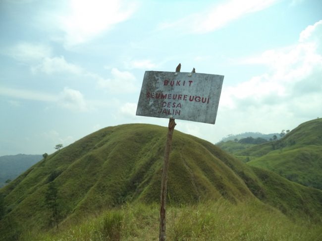 Bukit Gundul Semeuregui via Acehnewsnet, 1. Wahana Impian Malaka 69, 2. Taman Rusa Aceh Besar, 3. Jantho Panorama Park, 4. Pantai Lhokseudu, 5. Pantai Babah Dua, 6. Pantai Lampuuk, 7. Pantai Ujong Batee, 8. Air Terjun Suhom, 9. Air Terjun Kuta Malaka, 10. Air Terjun Peukan Biluy, 11. Taman Hutan Raya Pocut Meurah Intan, 12. Waduk Keuliling, 13. Pantai Lhoknga, 14. Teluk Jantang, 15. Bukit Gundul Semeuregui, 16. Lhok Seudu, 17. Pucok Krueng, 18. Wisata Sungai Brayeung, 19. Benteng Inong Balee, 20. Bukit Lamreh, 21. Pasir Putih, 22. Mon Ceunong, 23. Pemandian Air Panas “Ie Seueum”, 24. Kolam Mata Ie, 25. Taman Wisata Burung Dara, 26. Ilalang Park, 27. Lhok Mata Ie Ujong Pancu, 28. Air Terjun Elnaja, 29. Pantai Lambaro, 30. Rumah Cut Nyak Dhien, 31. Pantai Penyu, 32. Kebun Kurma Barbate, 33. Gunung Seulawah, 34. Pusat Latihan Gajah, 35. Pantai Lhok Mee