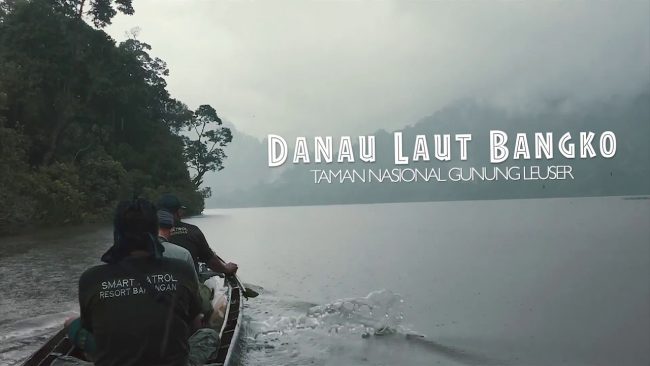 Danau Laut Bangko via Youtube, 1. Arung Jeram di Sungai Alas, 2. Air Terjun Tingkat Tujuh, 3. Tapak Tuan Tapa, 4. Pantai Batee Putih, 5. Pantai Bidari Samadua, 6. Pantai Lhok Nibong, 7. Pantai Ujong Nibong, 8. Pantai Lhok Mamplam, 9. Pemandian Air Dingin, 10. Air Terjun Dingin, 10. Pemandian Panjupian, 11. Talago Batu, 12. Sungai Lawe Melang, 13. Batu Putri Batupang, 14. Pulau Dua Bakongan, 15. Bukit Puncak Gemilang, 16. Batu Berlayar, 17. Pantai Lhok Rukam, 18. Pantai Seurudong, 19. Pantai Seubadeh, 20. Air Terjun Tangga Seribu, 21. Pantai Pasir Putih, 22. Pantai Batu Hitam, 23. Pemandian Putri Naga, 24. Jambo Hatta, 25. Masjid Istiqamah Tapak Tuan, 26. Tapak Tuan Taman Pala, 28. Wisata Edukasi Penyu Belimbing, 29. Pantai Cemara Ujung Batu Pasieraja, 30. Pantai Ladang Tuha Pasieraja, 31. Danau Laut Bangko, 32. Air Terjun Air Pinang, 33. Air Terjun Telago Batu Mersak, 34. Pantai Batee Puteh, 35. Pantai Bakongan Timur