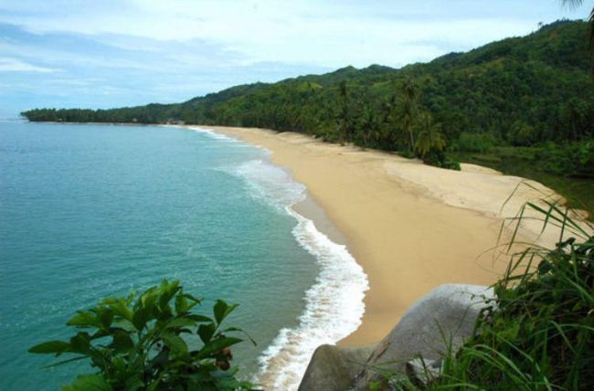 Pantai Bidari Samadua, 1. Arung Jeram di Sungai Alas, 2. Air Terjun Tingkat Tujuh, 3. Tapak Tuan Tapa, 4. Pantai Batee Putih, 5. Pantai Bidari Samadua, 6. Pantai Lhok Nibong, 7. Pantai Ujong Nibong, 8. Pantai Lhok Mamplam, 9. Pemandian Air Dingin, 10. Air Terjun Dingin, 10. Pemandian Panjupian, 11. Talago Batu, 12. Sungai Lawe Melang, 13. Batu Putri Batupang, 14. Pulau Dua Bakongan, 15. Bukit Puncak Gemilang, 16. Batu Berlayar, 17. Pantai Lhok Rukam, 18. Pantai Seurudong, 19. Pantai Seubadeh, 20. Air Terjun Tangga Seribu, 21. Pantai Pasir Putih, 22. Pantai Batu Hitam, 23. Pemandian Putri Naga, 24. Jambo Hatta, 25. Masjid Istiqamah Tapak Tuan, 26. Tapak Tuan Taman Pala, 28. Wisata Edukasi Penyu Belimbing, 29. Pantai Cemara Ujung Batu Pasieraja, 30. Pantai Ladang Tuha Pasieraja, 31. Danau Laut Bangko, 32. Air Terjun Air Pinang, 33. Air Terjun Telago Batu Mersak, 34. Pantai Batee Puteh, 35. Pantai Bakongan Timur
