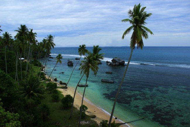 Pantai Lhok Nibong via Ikbalfanika, 1. Arung Jeram di Sungai Alas, 2. Air Terjun Tingkat Tujuh, 3. Tapak Tuan Tapa, 4. Pantai Batee Putih, 5. Pantai Bidari Samadua, 6. Pantai Lhok Nibong, 7. Pantai Ujong Nibong, 8. Pantai Lhok Mamplam, 9. Pemandian Air Dingin, 10. Air Terjun Dingin, 10. Pemandian Panjupian, 11. Talago Batu, 12. Sungai Lawe Melang, 13. Batu Putri Batupang, 14. Pulau Dua Bakongan, 15. Bukit Puncak Gemilang, 16. Batu Berlayar, 17. Pantai Lhok Rukam, 18. Pantai Seurudong, 19. Pantai Seubadeh, 20. Air Terjun Tangga Seribu, 21. Pantai Pasir Putih, 22. Pantai Batu Hitam, 23. Pemandian Putri Naga, 24. Jambo Hatta, 25. Masjid Istiqamah Tapak Tuan, 26. Tapak Tuan Taman Pala, 28. Wisata Edukasi Penyu Belimbing, 29. Pantai Cemara Ujung Batu Pasieraja, 30. Pantai Ladang Tuha Pasieraja, 31. Danau Laut Bangko, 32. Air Terjun Air Pinang, 33. Air Terjun Telago Batu Mersak, 34. Pantai Batee Puteh, 35. Pantai Bakongan Timur