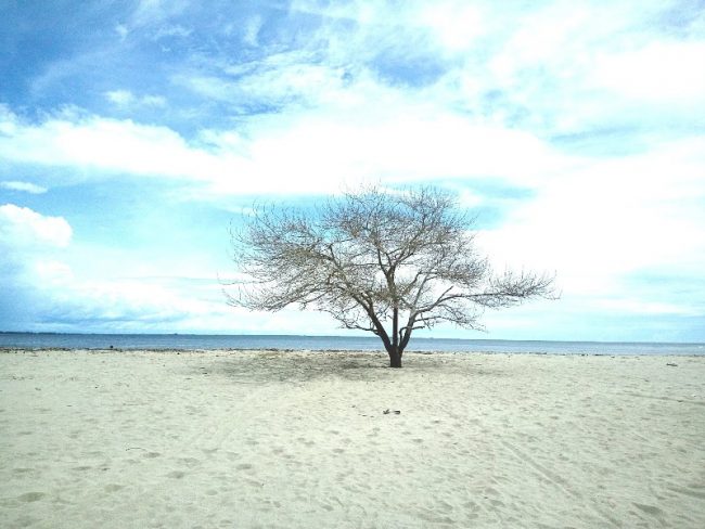 Pantai Seubadeh via Steemit, 1. Arung Jeram di Sungai Alas, 2. Air Terjun Tingkat Tujuh, 3. Tapak Tuan Tapa, 4. Pantai Batee Putih, 5. Pantai Bidari Samadua, 6. Pantai Lhok Nibong, 7. Pantai Ujong Nibong, 8. Pantai Lhok Mamplam, 9. Pemandian Air Dingin, 10. Air Terjun Dingin, 10. Pemandian Panjupian, 11. Talago Batu, 12. Sungai Lawe Melang, 13. Batu Putri Batupang, 14. Pulau Dua Bakongan, 15. Bukit Puncak Gemilang, 16. Batu Berlayar, 17. Pantai Lhok Rukam, 18. Pantai Seurudong, 19. Pantai Seubadeh, 20. Air Terjun Tangga Seribu, 21. Pantai Pasir Putih, 22. Pantai Batu Hitam, 23. Pemandian Putri Naga, 24. Jambo Hatta, 25. Masjid Istiqamah Tapak Tuan, 26. Tapak Tuan Taman Pala, 28. Wisata Edukasi Penyu Belimbing, 29. Pantai Cemara Ujung Batu Pasieraja, 30. Pantai Ladang Tuha Pasieraja, 31. Danau Laut Bangko, 32. Air Terjun Air Pinang, 33. Air Terjun Telago Batu Mersak, 34. Pantai Batee Puteh, 35. Pantai Bakongan Timur
