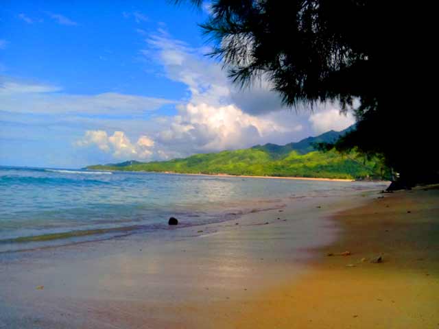 Pantai Pasir Putih Oleh Adi Yanto, 1. Arung Jeram di Sungai Alas, 2. Air Terjun Tingkat Tujuh, 3. Tapak Tuan Tapa, 4. Pantai Batee Putih, 5. Pantai Bidari Samadua, 6. Pantai Lhok Nibong, 7. Pantai Ujong Nibong, 8. Pantai Lhok Mamplam, 9. Pemandian Air Dingin, 10. Air Terjun Dingin, 10. Pemandian Panjupian, 11. Talago Batu, 12. Sungai Lawe Melang, 13. Batu Putri Batupang, 14. Pulau Dua Bakongan, 15. Bukit Puncak Gemilang, 16. Batu Berlayar, 17. Pantai Lhok Rukam, 18. Pantai Seurudong, 19. Pantai Seubadeh, 20. Air Terjun Tangga Seribu, 21. Pantai Pasir Putih, 22. Pantai Batu Hitam, 23. Pemandian Putri Naga, 24. Jambo Hatta, 25. Masjid Istiqamah Tapak Tuan, 26. Tapak Tuan Taman Pala, 28. Wisata Edukasi Penyu Belimbing, 29. Pantai Cemara Ujung Batu Pasieraja, 30. Pantai Ladang Tuha Pasieraja, 31. Danau Laut Bangko, 32. Air Terjun Air Pinang, 33. Air Terjun Telago Batu Mersak, 34. Pantai Batee Puteh, 35. Pantai Bakongan Timur