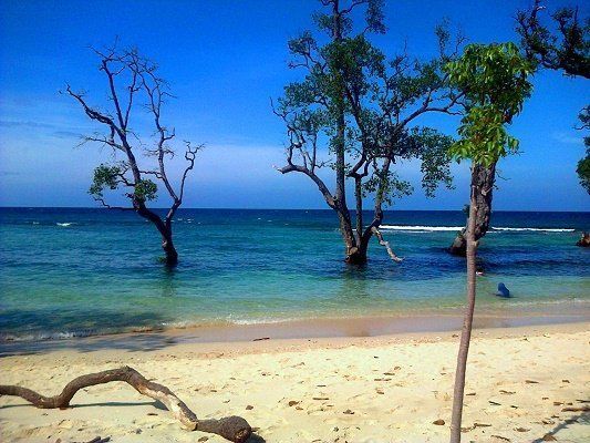 Pasir Putih via Google Plus, 1. Wahana Impian Malaka 69, 2. Taman Rusa Aceh Besar, 3. Jantho Panorama Park, 4. Pantai Lhokseudu, 5. Pantai Babah Dua, 6. Pantai Lampuuk, 7. Pantai Ujong Batee, 8. Air Terjun Suhom, 9. Air Terjun Kuta Malaka, 10. Air Terjun Peukan Biluy, 11. Taman Hutan Raya Pocut Meurah Intan, 12. Waduk Keuliling, 13. Pantai Lhoknga, 14. Teluk Jantang, 15. Bukit Gundul Semeuregui, 16. Lhok Seudu, 17. Pucok Krueng, 18. Wisata Sungai Brayeung, 19. Benteng Inong Balee, 20. Bukit Lamreh, 21. Pasir Putih, 22. Mon Ceunong, 23. Pemandian Air Panas “Ie Seueum”, 24. Kolam Mata Ie, 25. Taman Wisata Burung Dara, 26. Ilalang Park, 27. Lhok Mata Ie Ujong Pancu, 28. Air Terjun Elnaja, 29. Pantai Lambaro, 30. Rumah Cut Nyak Dhien, 31. Pantai Penyu, 32. Kebun Kurma Barbate, 33. Gunung Seulawah, 34. Pusat Latihan Gajah, 35. Pantai Lhok Mee