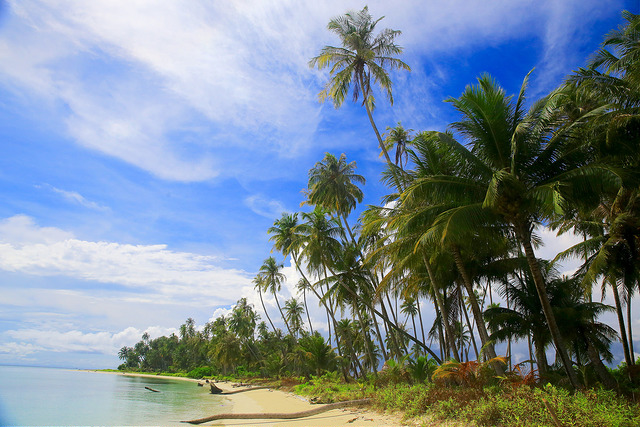Pulau Tuangku, 1. Kolam renang singapura waterboom, 2. Pulau Tailana , 3. Pantai Amandangan, 4. Pulau Palambak , 5. Danau Tana Bara, 6. Air Terjun Lae Gecih, 7. Pulau Bengkaru , 8. Danau Cingkam, 9. Pantai Cemara Indah – Pantai Gosong Telaga, 10. Wisata Pulau Banyak , 11. Pulau Malelo , 12. Kemah di Pulau Asok , 13. Pulau Lambudung , 14. Pulau Rangit , 15. Danau Bungara , 16. Hutan Rawa Singkil , 17. Pulau Tuangku , 18. Pantai Pulo Sarok, 19. Wisata Pulo Madura Rimo, 20. Pulau Lamun, 21. Pulau Pabisi, 22. Air Terjun Lae Petal, 23. Pulau Sikandang, 24. Pulau Panjang, 25. Air Terjun Kedabuhan