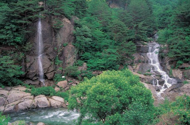 Taman Hutan Rakyat Lae Kombih, 1. Irigasi Sungai Namo Buaya, 2. Air Terjun Kedabuhan , 3. Arung Jeram Lae Kombih, 4. Wisata Alam Penuntungan, 5. Air Terjun SKPC, 6. Jembatan Rundeng, 7. Silangit Singgersing , 8. Taman Hutan Rakyat Lae Kombih, 9. Pemandian Nantampuk Mas, 10. Air Terjun Batu Napal , 11. Makam Syekh Hamzah Al-Fansuri, 12. Lapangan Beringin, 13. Kolam Kasman, 14. Area Wisata Sikelang, 16. Taman Kota Subulussalam, 17. Ekowisata Lae Soraya, 18. Kebun Buah Naga Longkib, 19. Kebun Buah Salak, 20. Wisata Kuliner di Garuda Duo