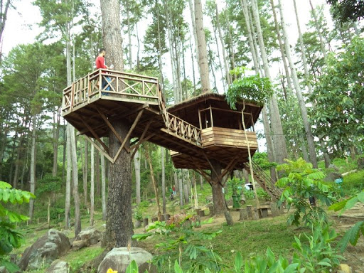 Taman Hutan Raya Pocut Meurah Intan via Acehprovgoid, 1. Museum Tsunami, 2. Pulau Rubiah, 3. Pantai Iboih, 4. Masjid Raya Baiturrahman, 5. Air Terjun Blang Kolam, 6. Air Terjun Suhom, 7. Danau Laut Tawar, 8. Pantai Lhoknga, 9. Rumah Cut Nyak Dien, 10. Taman Hutan Raya Pocut Meurah Intan, 11. Air Terjun Kuta Malaka, 12. Tugu Nol Kilometer, 13. Pulau Batee, 14. Pulau Keluang, 15. Goa Sarang, 16. Ujong Seukee, 17. Pulo Aceh, 18. Air Terjun Pria Laot, 19. Air Terjun Tansaran Bidin, 20. Air Terjun Tahura Saree, 21. Kuala Paret, 22. Lingkok Kuwieng, 23. Kuala Merisi, 24. Pualu Pusong, 25. Pantai Tebing Lampuuk, 26. Pantan Terong, 27. Benteng Iskandar Muda dan Benteng Indrapatra, 28. Pusat Latihan Gajah Saree, 29. Air Terjun Peukan Biluy , 30. Goa Loyang Koro, 31. Gua putri pukes, 32. Cagar Alam Jantho, 33. Objek Wisata Putroe Aloh – Pucok Krueng , 34. Gunung Seulawah Agam, 35. Gunung Borni Telong, 36. Pulau Seumadu, 37. Kegiatan diving wisata di Pulau Weh, 38. Pantai Ujong Kareung, 39. Bukit Lamreh, 40. Pantai Ulee Lheue