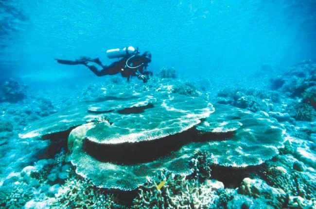 Taman Laut Lama Tuha, 1. Pantai Cemara Indah, 2. Pantai Jilbab, 3. Pemandian Krueng Baru, 4. Pemandian Putroe Ijoe, 5. Gua Seumancang Kuta Tinggi, 6. Pulau Gosong, 7. Pantai Ujung Manggeng, 8. Taman Laut Ujung Manggeng, 9. Pantai Wisata Ujong Ketapang, 10. Krueng Babahrot, 11. Pantai Pusong Sangkalan, 12. Pantai Kuala Katung, 13. Kolam Renang Driyen Payeh, 14. Taman Laut Ujong Serangga, 15. Taman Laut Lama Tuha, 16. Krueng Seumayam, 17. Desa Teupin Batee, 18. Pantai Suak Udeung, 19. Pantai Lama Muda