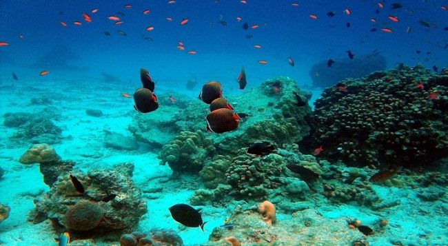 Taman Laut Ujong Serangga, 1. Pantai Cemara Indah, 2. Pantai Jilbab, 3. Pemandian Krueng Baru, 4. Pemandian Putroe Ijoe, 5. Gua Seumancang Kuta Tinggi, 6. Pulau Gosong, 7. Pantai Ujung Manggeng, 8. Taman Laut Ujung Manggeng, 9. Pantai Wisata Ujong Ketapang, 10. Krueng Babahrot, 11. Pantai Pusong Sangkalan, 12. Pantai Kuala Katung, 13. Kolam Renang Driyen Payeh, 14. Taman Laut Ujong Serangga, 15. Taman Laut Lama Tuha, 16. Krueng Seumayam, 17. Desa Teupin Batee, 18. Pantai Suak Udeung, 19. Pantai Lama Muda