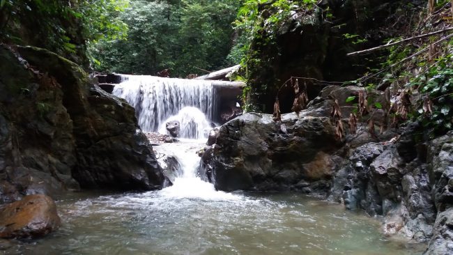 Talago Batu via Yellsaints, 1. Arung Jeram di Sungai Alas, 2. Air Terjun Tingkat Tujuh, 3. Tapak Tuan Tapa, 4. Pantai Batee Putih, 5. Pantai Bidari Samadua, 6. Pantai Lhok Nibong, 7. Pantai Ujong Nibong, 8. Pantai Lhok Mamplam, 9. Pemandian Air Dingin, 10. Air Terjun Dingin, 10. Pemandian Panjupian, 11. Talago Batu, 12. Sungai Lawe Melang, 13. Batu Putri Batupang, 14. Pulau Dua Bakongan, 15. Bukit Puncak Gemilang, 16. Batu Berlayar, 17. Pantai Lhok Rukam, 18. Pantai Seurudong, 19. Pantai Seubadeh, 20. Air Terjun Tangga Seribu, 21. Pantai Pasir Putih, 22. Pantai Batu Hitam, 23. Pemandian Putri Naga, 24. Jambo Hatta, 25. Masjid Istiqamah Tapak Tuan, 26. Tapak Tuan Taman Pala, 28. Wisata Edukasi Penyu Belimbing, 29. Pantai Cemara Ujung Batu Pasieraja, 30. Pantai Ladang Tuha Pasieraja, 31. Danau Laut Bangko, 32. Air Terjun Air Pinang, 33. Air Terjun Telago Batu Mersak, 34. Pantai Batee Puteh, 35. Pantai Bakongan Timur